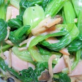 青梗菜とキノコのサラダ